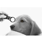 Magnification 5X Veterinary Ophthalmic Slit Lamp 0.2mm Minium Slit Width